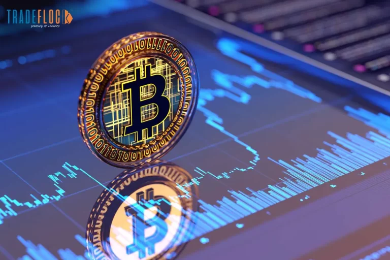 Bitcoin Climbs to New All-Time High! What's Next for the World’s Most Popular Crypto?