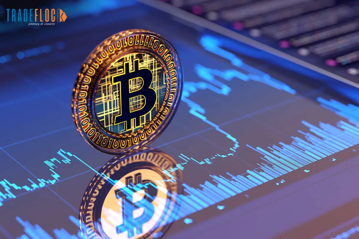 Bitcoin Climbs to New All-Time High! What's Next for the World’s Most Popular Crypto?