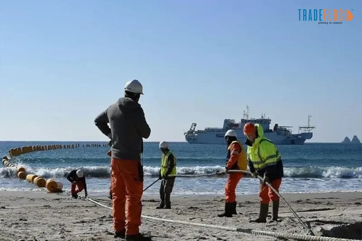 Red Sea Cables Cut by Passing Commercial Vessels, say Experts