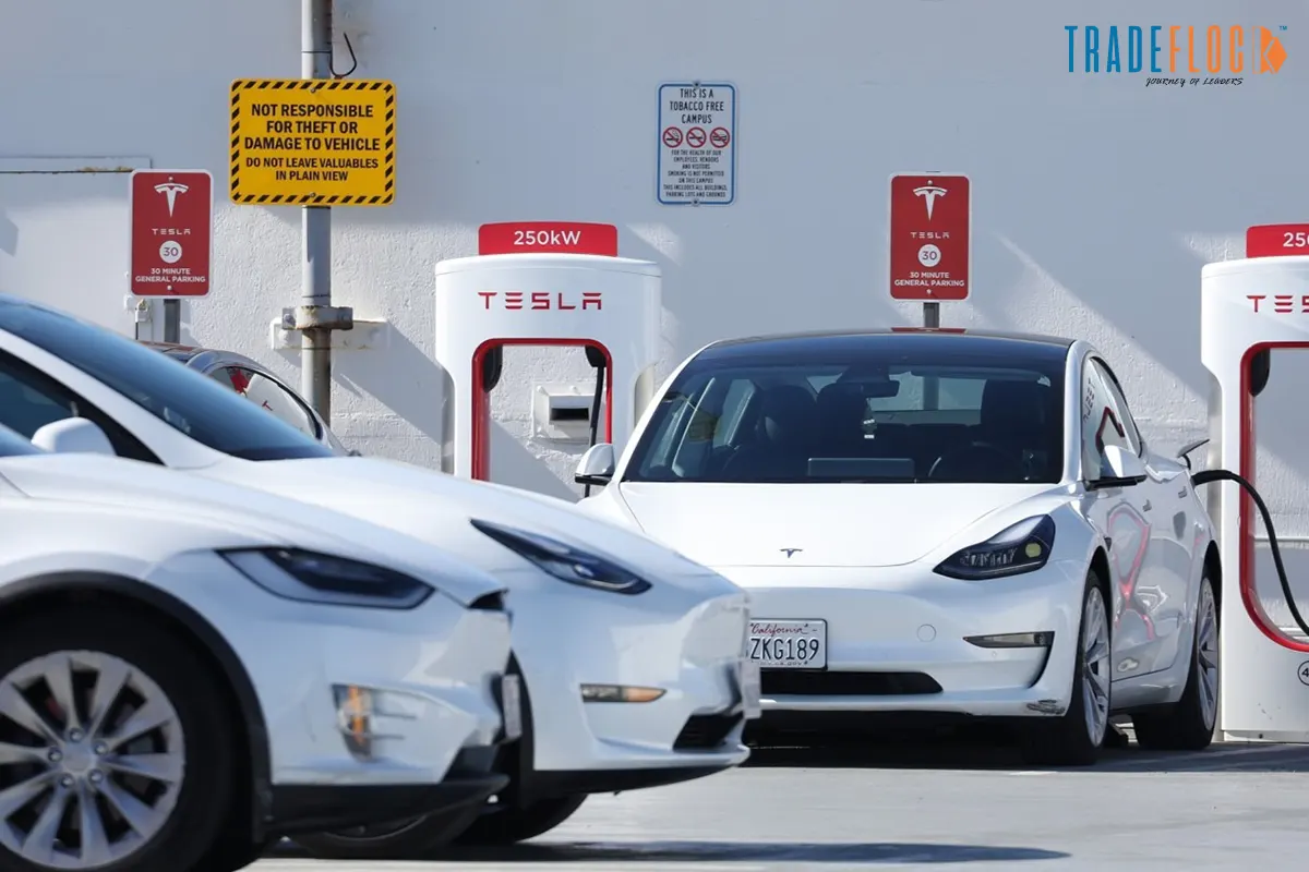 Tesla’s Germany Sales Halve as EV Demand Weakens