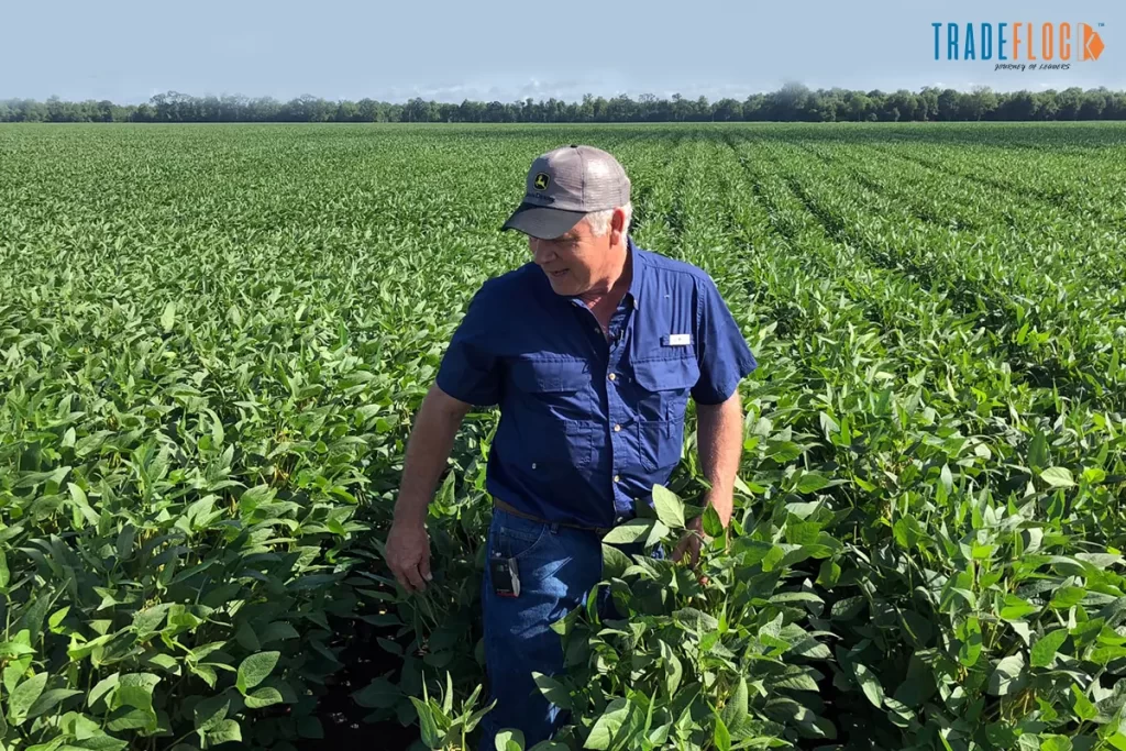 Trump Administration Starts Damage Control To Unveil New Farmers’ Aid Package