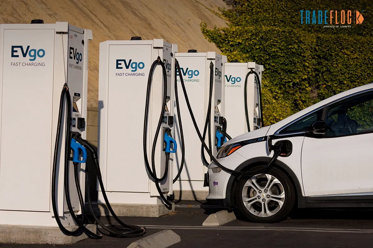 US Moves to Slash Car Prices!