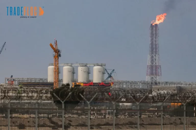 Iran War Disrupts Global Oil and Gas Supply