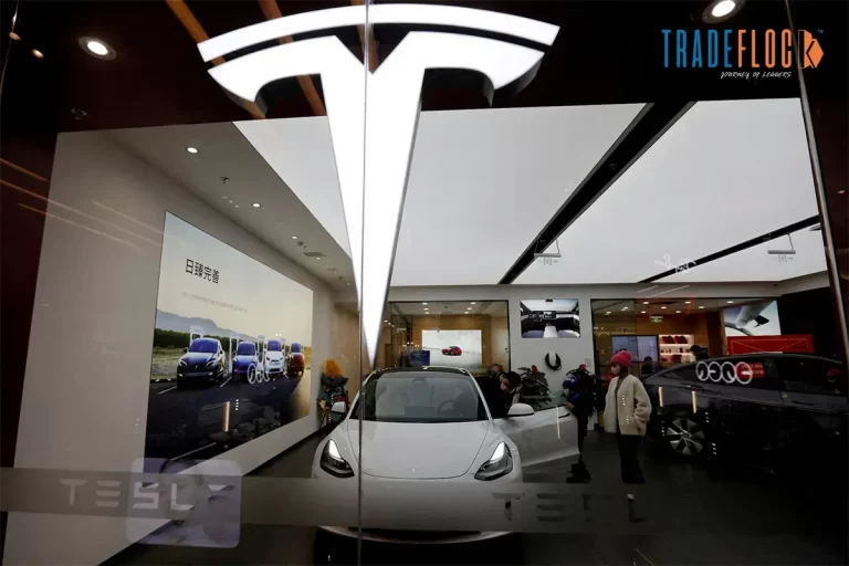 Tesla Faces Softer EV Demand Ahead of Q1 Delivery Report