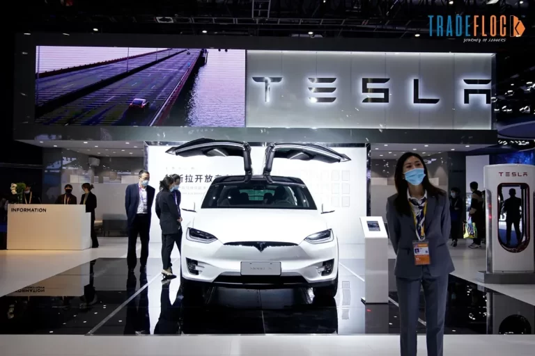 Tesla Sees Profit Growth Amid EV Challenges