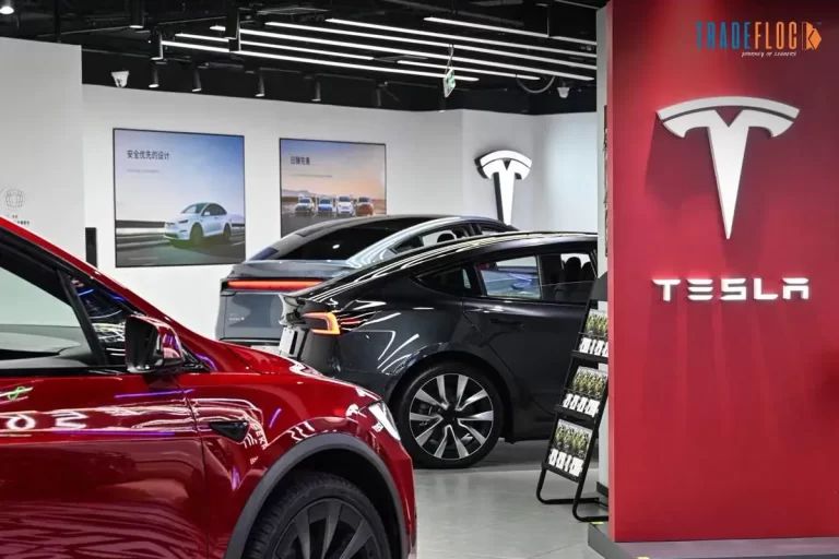 US Regulator Ends Probe Into Tesla Driver Feature