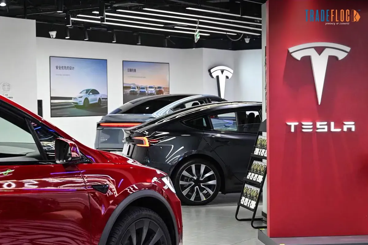 US Regulator Ends Probe Into Tesla Driver Feature