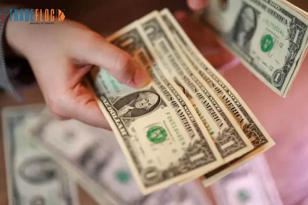 Dollar Steady Amid Iran & US War, Keeping Market on Edge