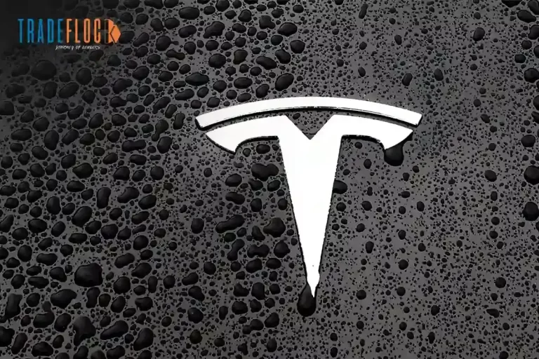 Tesla Continues Graphite Supply Partnership With Syrah Resources