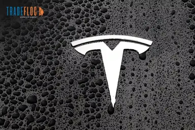 Tesla Continues Graphite Supply Partnership With Syrah Resources