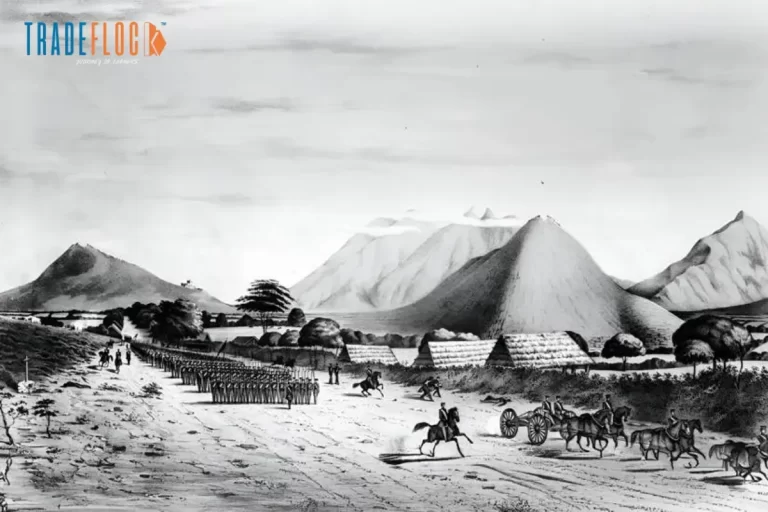 29 December, 1845_ Texas Born From Diplomacy, Conflict, and Expansion